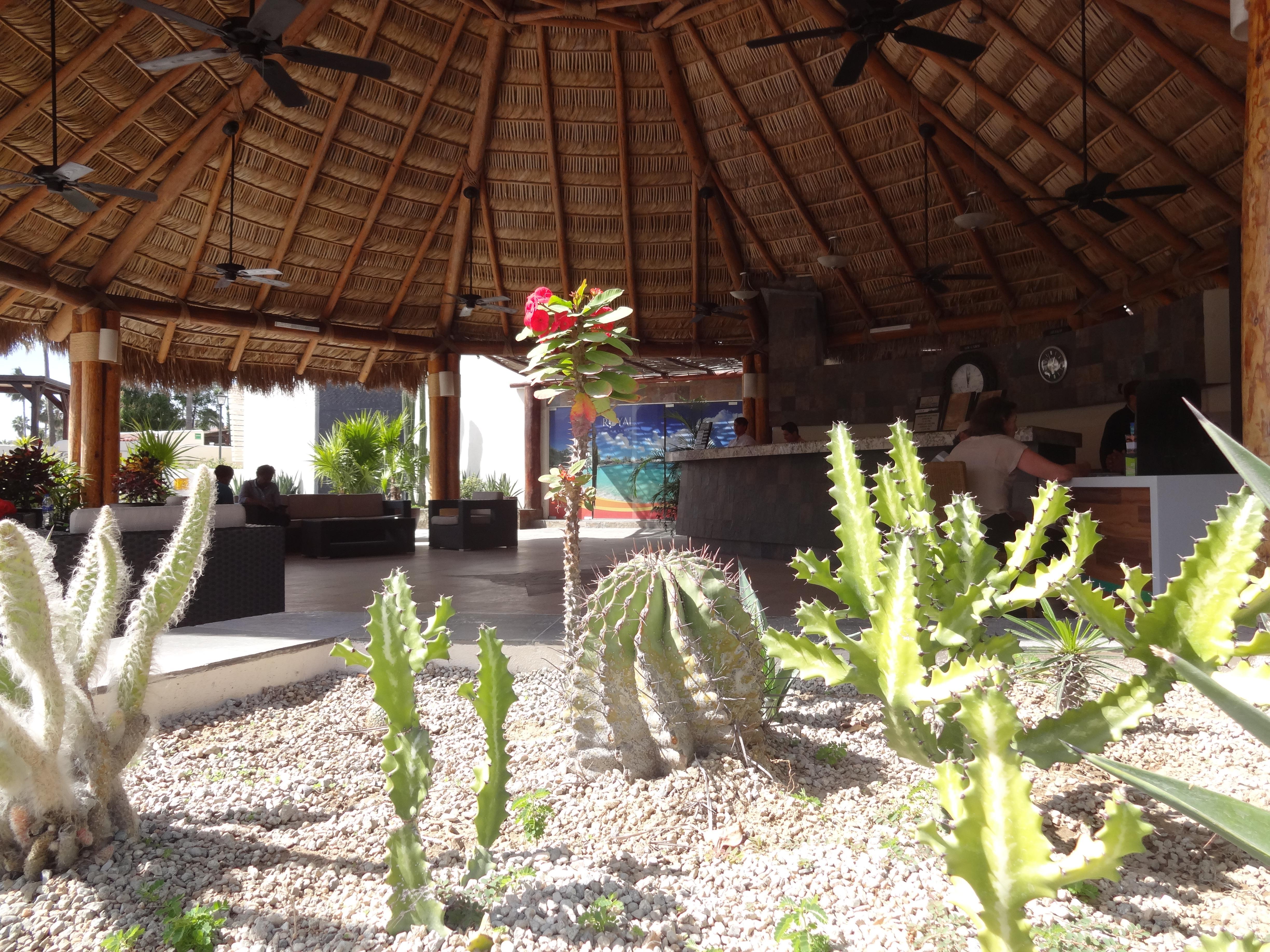Park Royal Homestay Los Cabos San Jose del Cabo Exterior photo